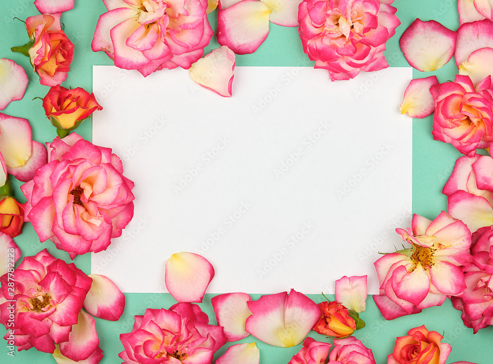 white paper sheet and buds of pink roses white paper sheet and buds of pink roses