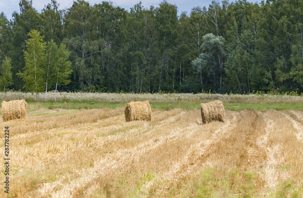 Straw bales in the field Straw bales in the field