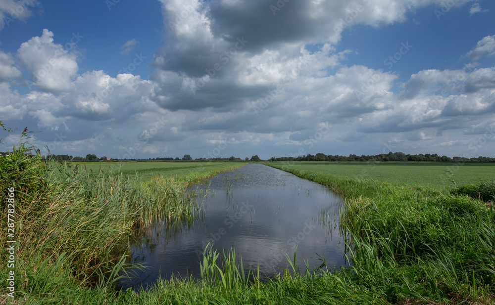 Dutch landscape. Polder near Blokzijl. Netherlands. Canal