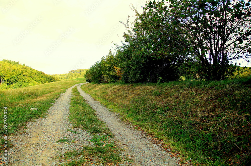 Einsamer weg am waldrand