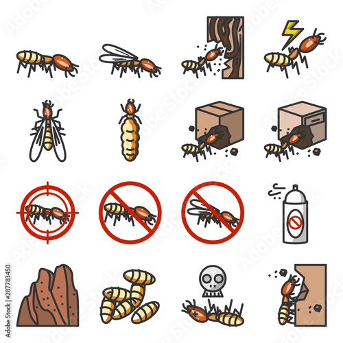 Termite icon set, Insecticide icon, termites eat wood illustration, insect vector color outline