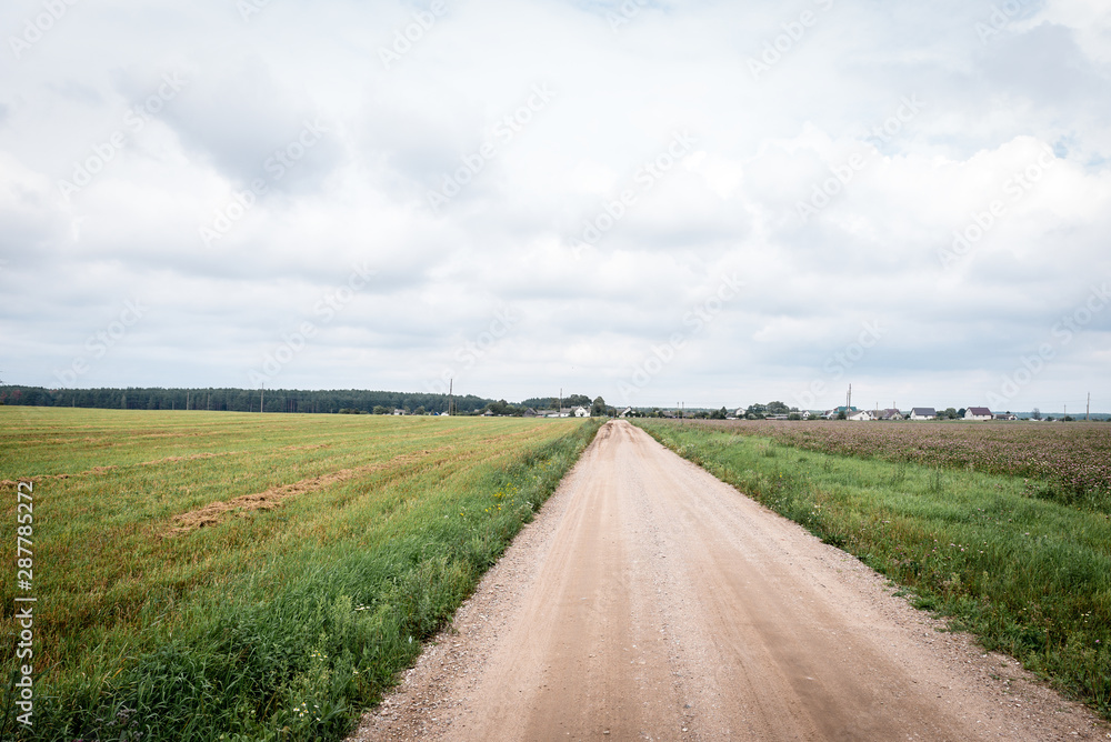 Empty country road surrounded by summer field