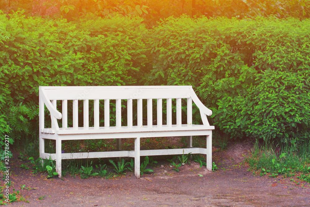 White wooden bench in a city park in spring time and trees on background. Empty green garden chair at summer grass. Walking path in alley at rainy autumn day on outdoor nature. Vintage furniture. White wooden bench in a city park in spring time and trees on background. Empty green garden chair at summer grass. Walking path in alley at rainy autumn day on outdoor nature. Vintage furniture.