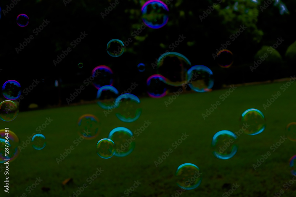 Beautiful abstract texture colorful pink and blue soap bubbles on the back and darkness background and wallpaper