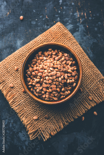 Indian charoly / Buchanania lanzan / Almondette kernel seeds in a bowl or pile. selective focus photo