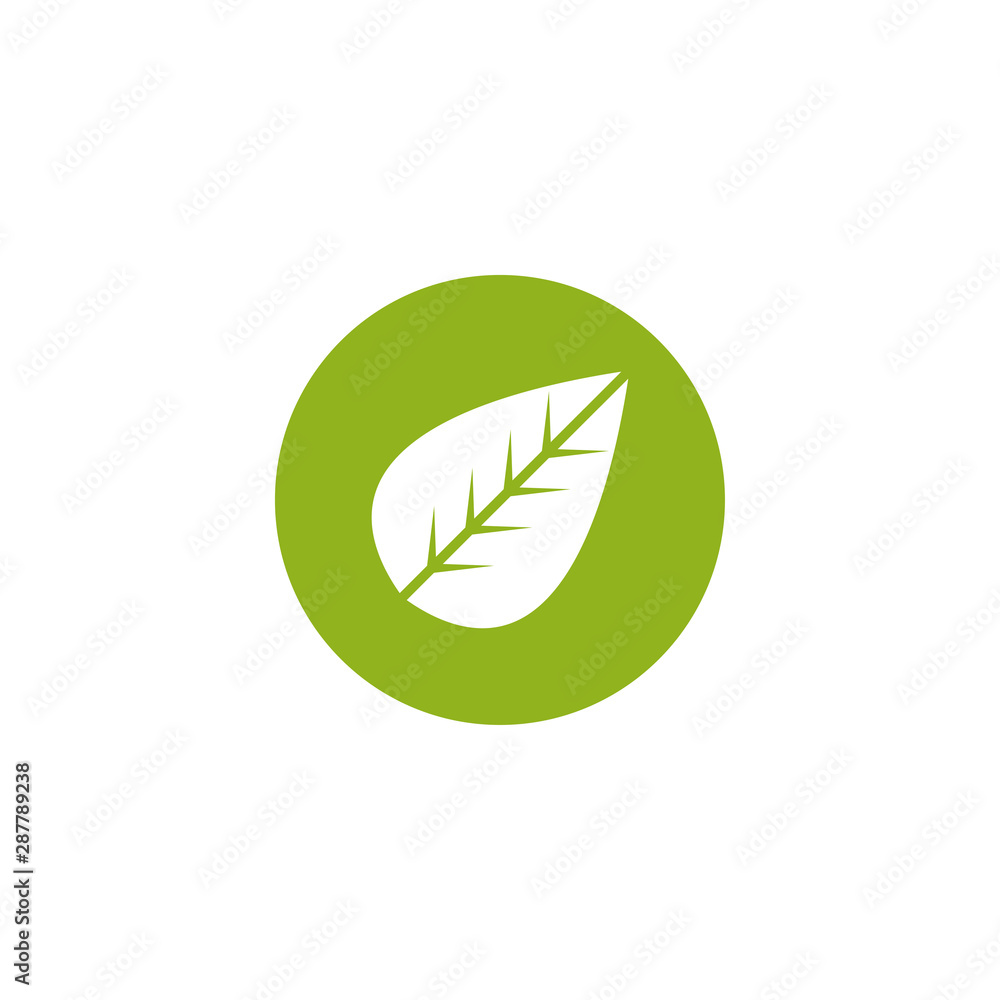 Leaf graphic design template vector isolated illustration Leaf graphic design template vector isolated illustration