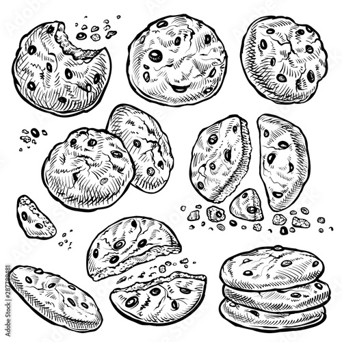 Cookie vector hand drawn illustration фототапет