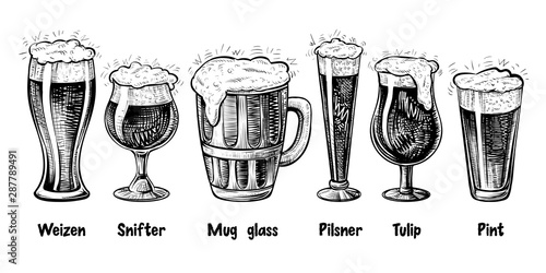 Vector beer glass types, vintage engraving. Foamy beer in different glasses: weizen, pilsner, tulip, snifter, pint, mug.