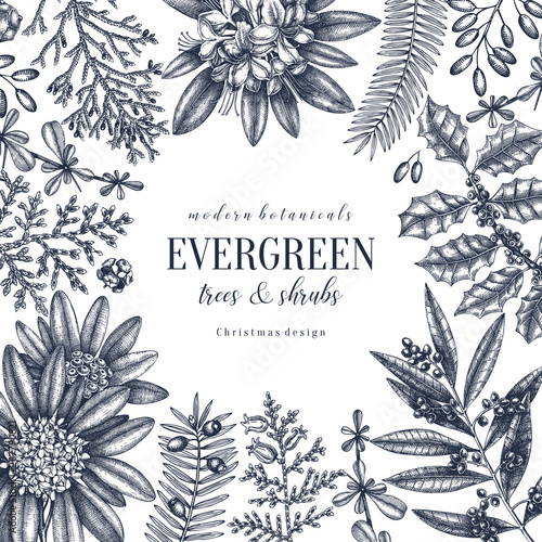 Christmas greeting card or invitation design. Vector frame with hand drawn evergreen trees and shrubs. Vintage background with cypress, berberis, laurel, skimmia, rhododendron, yew, holly illustration