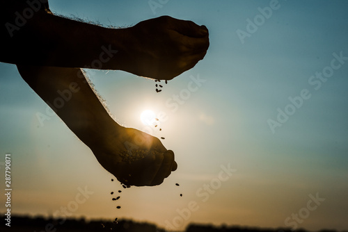 Fényképezés cropped view of self-employed farmer throwing seeds