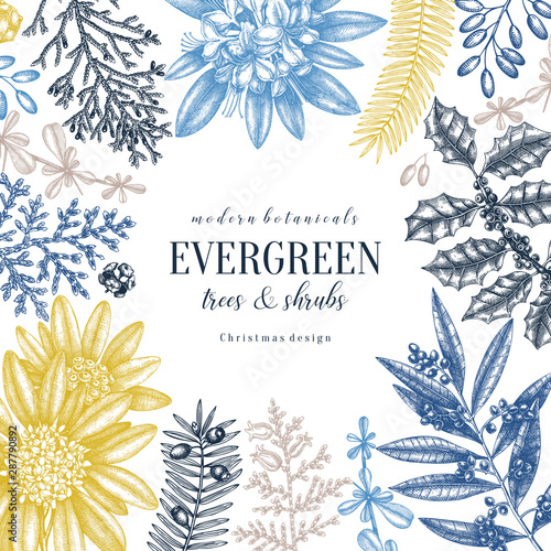 Christmas greeting card or invitation design. Vector frame with hand drawn evergreen trees and shrubs. Vintage background with cypress, berberis, laurel, skimmia, rhododendron, yew, holly illustration