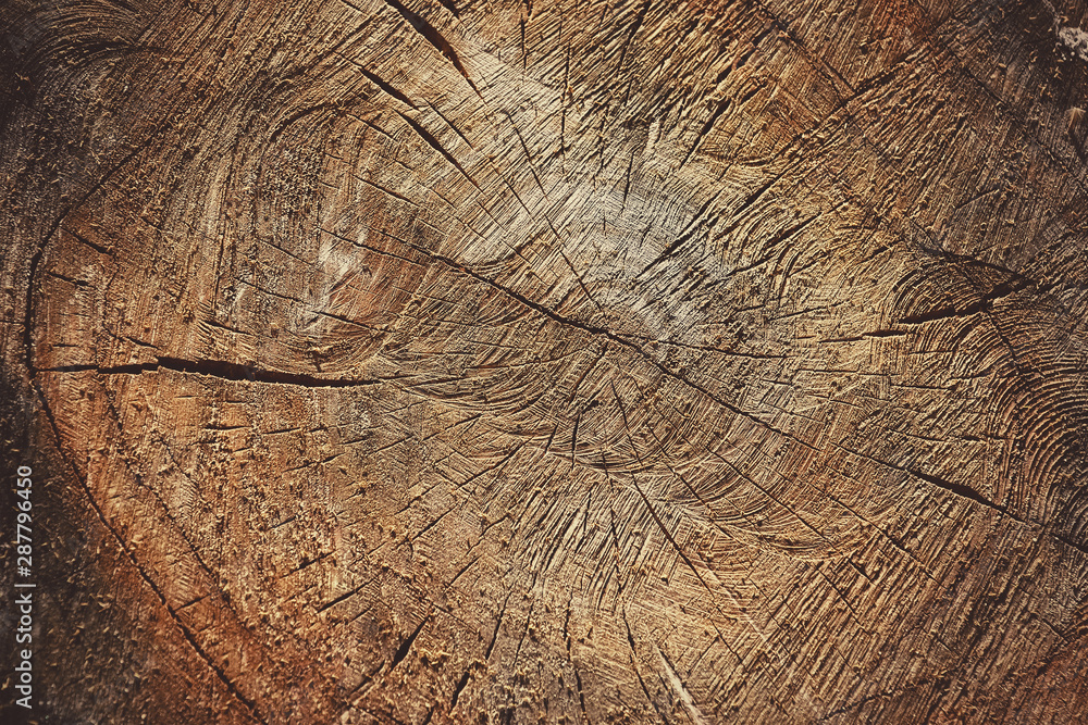 Fototapeta premium Abstract Wooden Background