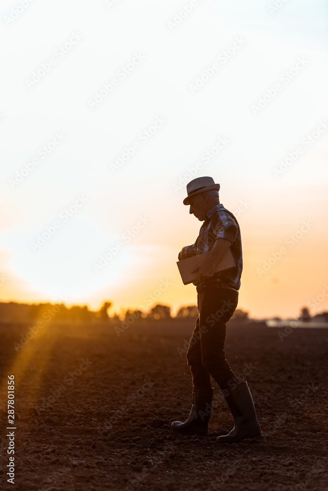 side view of farmer in straw hat holding wooden box while walking during sunset