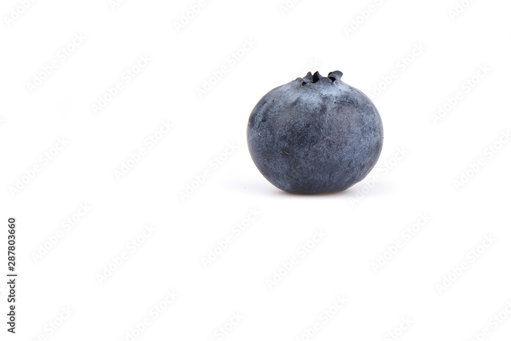 One blueberry berry isolated on a white background with place for text. One blueberry berry isolated on a white background with place for text.