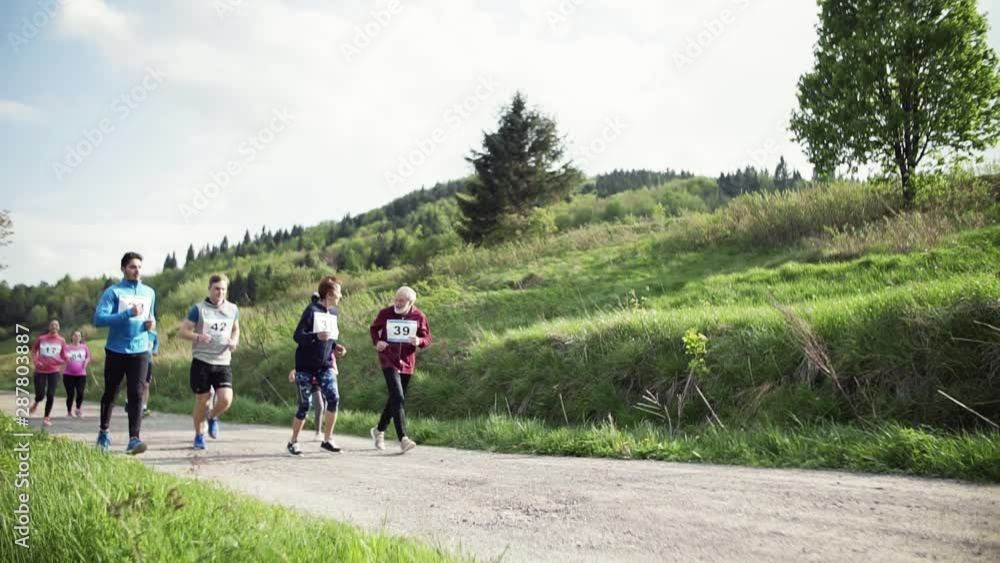 Large group of multi generation people running a race competition in nature. Large group of multi generation people running a race competition in nature.