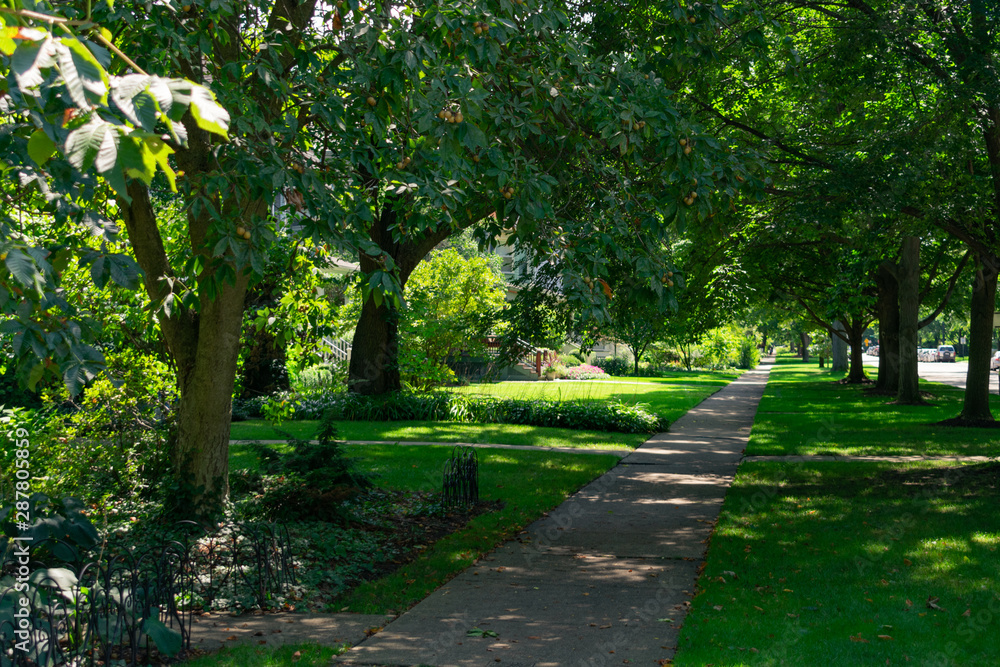 Residential Shaded Sidewalk with Green Trees in Evanston Illinois	