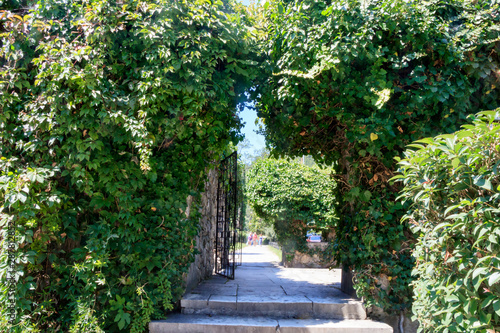 arched fence overgrown with bushes