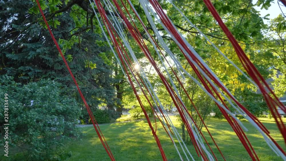 23868_Red_and_white_bangtings_hanging_on_the_trees.mov 23868_Red_and_white_bangtings_hanging_on_the_trees.mov