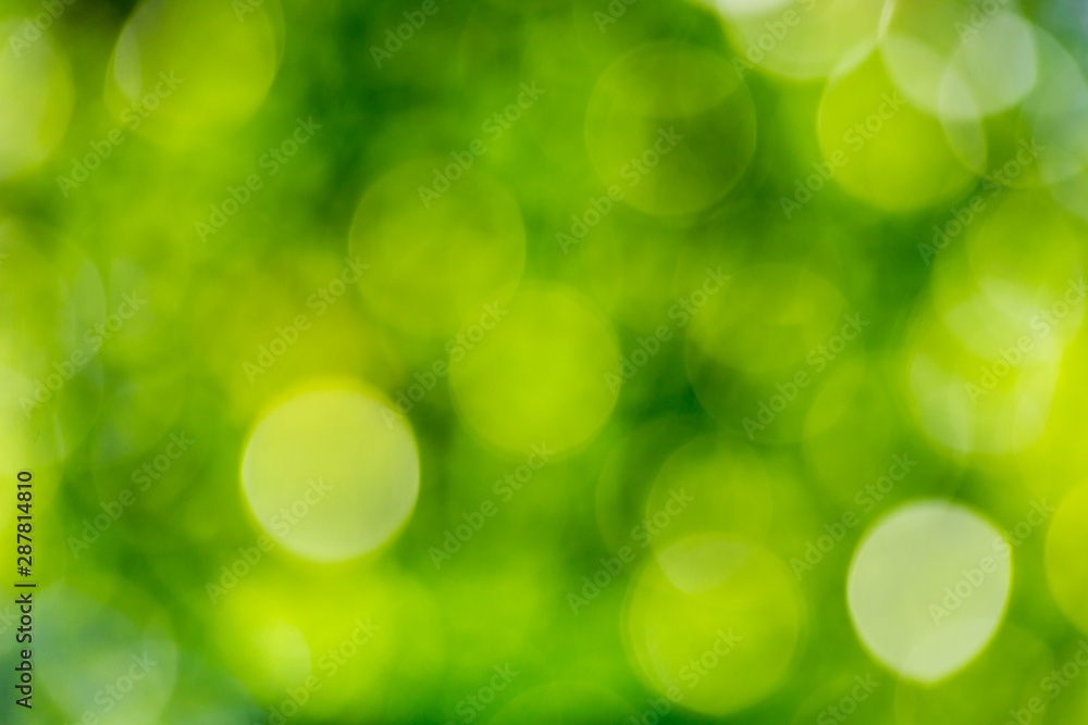 Fototapeta premium Green bokeh out of focus background from nature forest.Green bokeh abstract.fresh wallpaper concept.Bright glowing green nature background in the form of bokeh