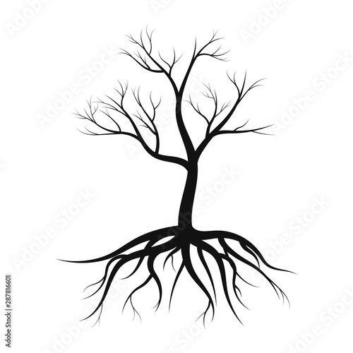 tree silhouette with roots, without leaves on white background vector illustration