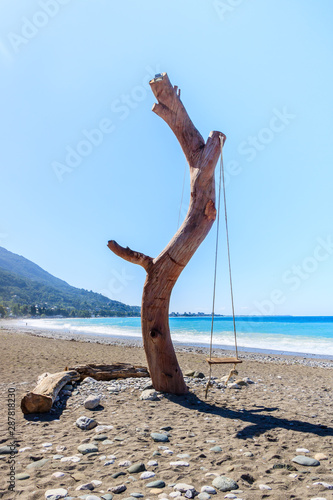 swing on an old tree on the beach on the ocean