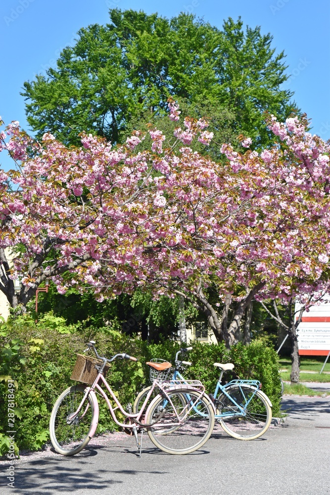 Fototapeta premium bicycle and flowers