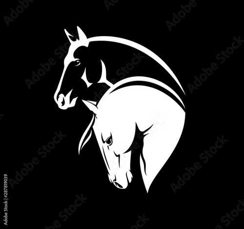 two horses profile heads - stallion and mare white vector outline portraits on black