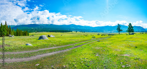 Alpine steppe in the background of snowy mountains photo