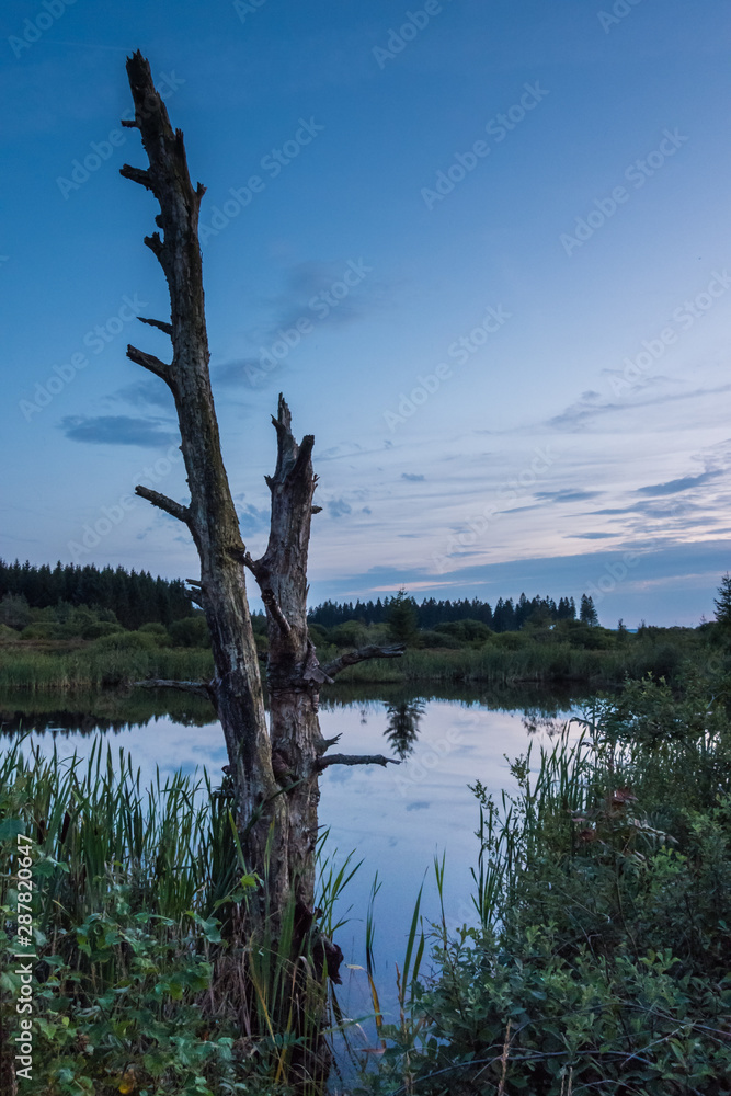 Obraz premium Sonnenuntergang in der Eifel im Brackvenn
