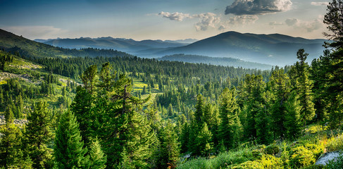 Beautiful sunset view in cedar forest in front of sayan mountain range, Ergaki national park, Krasnoyarsk region, Siberia, Russia 