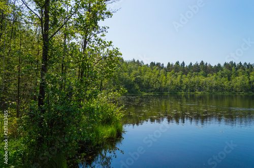 Glebovsky Lake