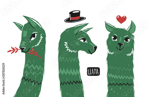 Three llamas heads isolated from background. Nice character illustration. Llama with hat, heart and branch. Woodcut style.