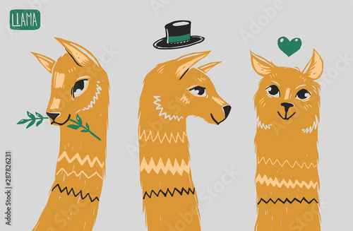 Three llamas heads isolated from background. Nice character illustration. Llama with hat, heart and branch. Woodcut style.