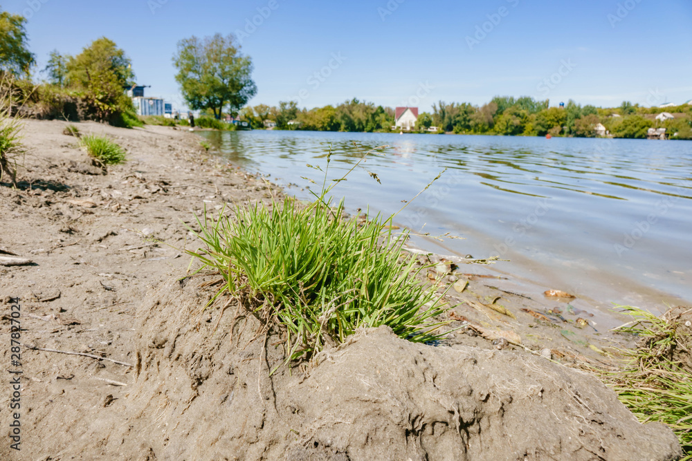 photo of beautiful tropical beach with white sand and bushes photo of beautiful tropical beach with white sand and bushes