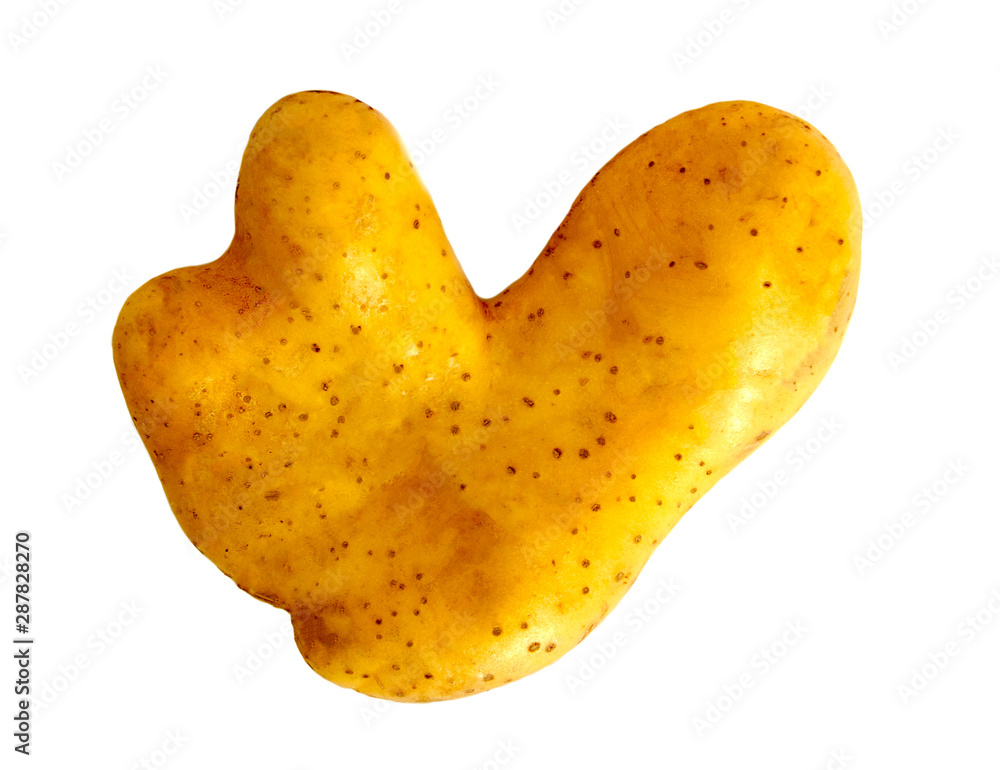 Ugly potato in heart shape on white background isolated. Funny, weird vegetable. Food waste concept.  - obrazy, fototapety, plakaty 