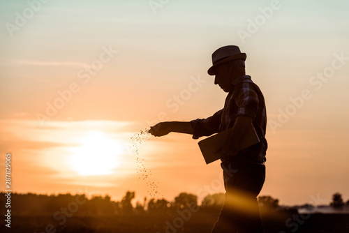 profile of senior farmer in straw hat sowing seeds during sunset photo