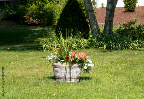 Beautiful yard decoration with different kind of flowers in an old wooden tub