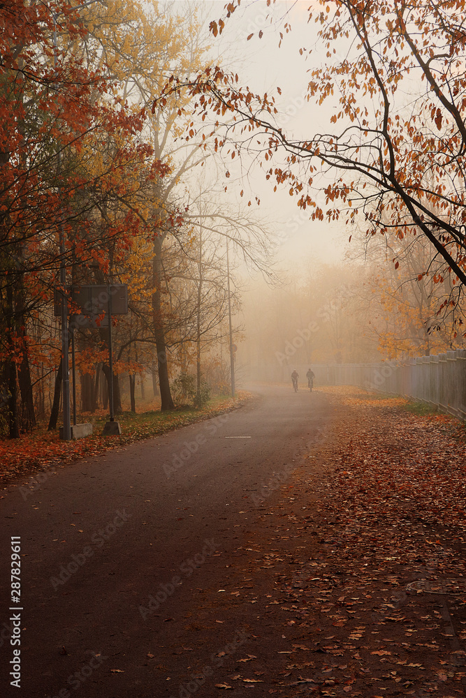 Russia, St. Petersburg, October 13, 2018, Alexander Park. In the photo there is an autumn alley with bright leaves and people riding bicycles in dense fog.