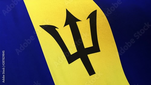 Barbados national flag seamlessly waving on realistic satin texture 29.97FPS photo