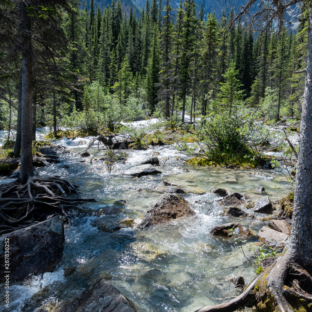 Beautiful landscape of Moraine Lake Beautiful landscape of Moraine Lake