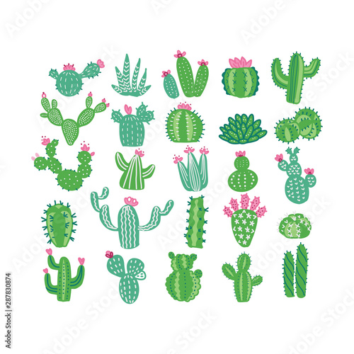 Hand drawn fllat vector illustration of cacti without pots , home plants, succulents.