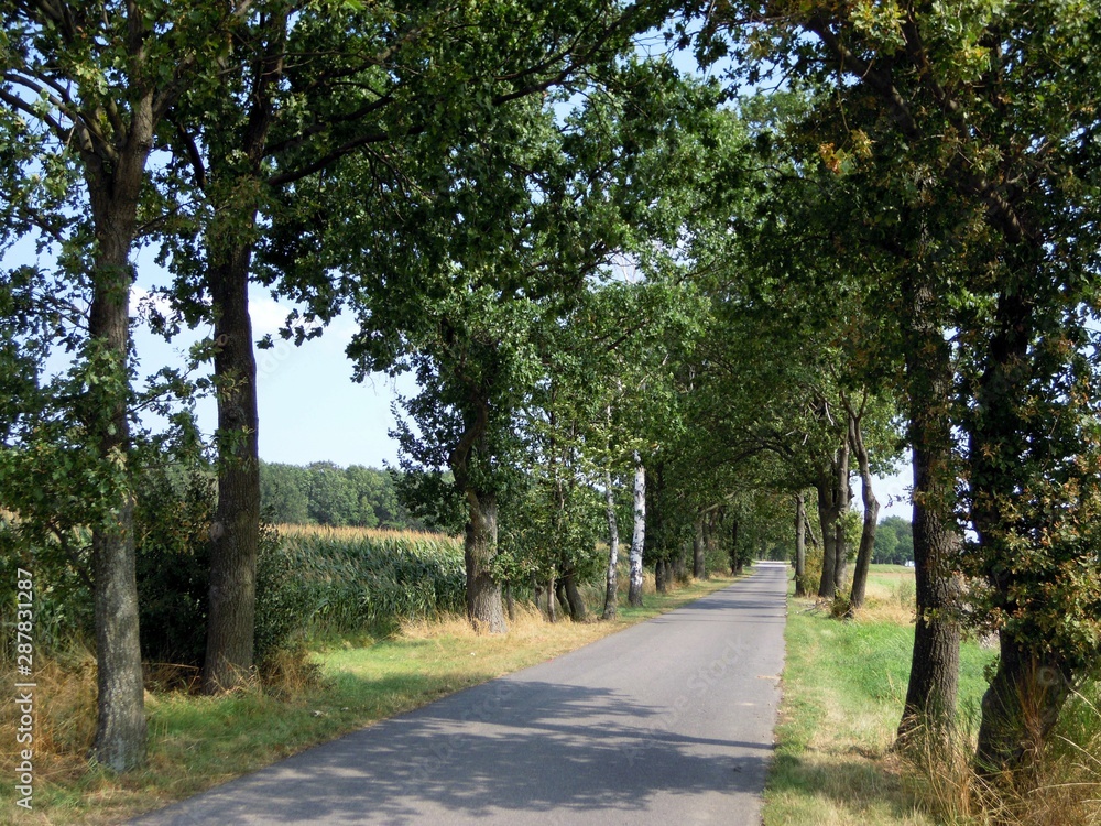 Radweg 