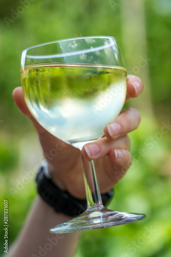 A hand holds a glass of white wine