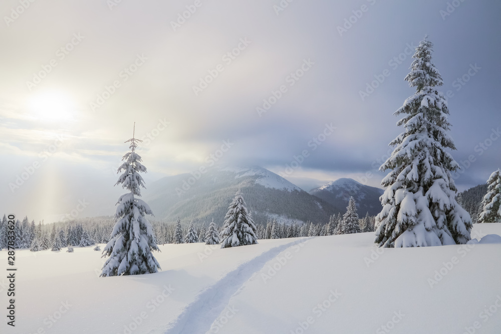 Winter landscape with fair trees, mountains and the lawn covered by snow with the foot path.