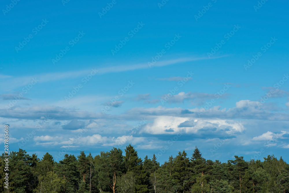Beautiful Blue Sky with white Clouds and summer forest. A Nature backgrounds. Copy space Beautiful Blue Sky with white Clouds and summer forest. A Nature backgrounds. Copy space