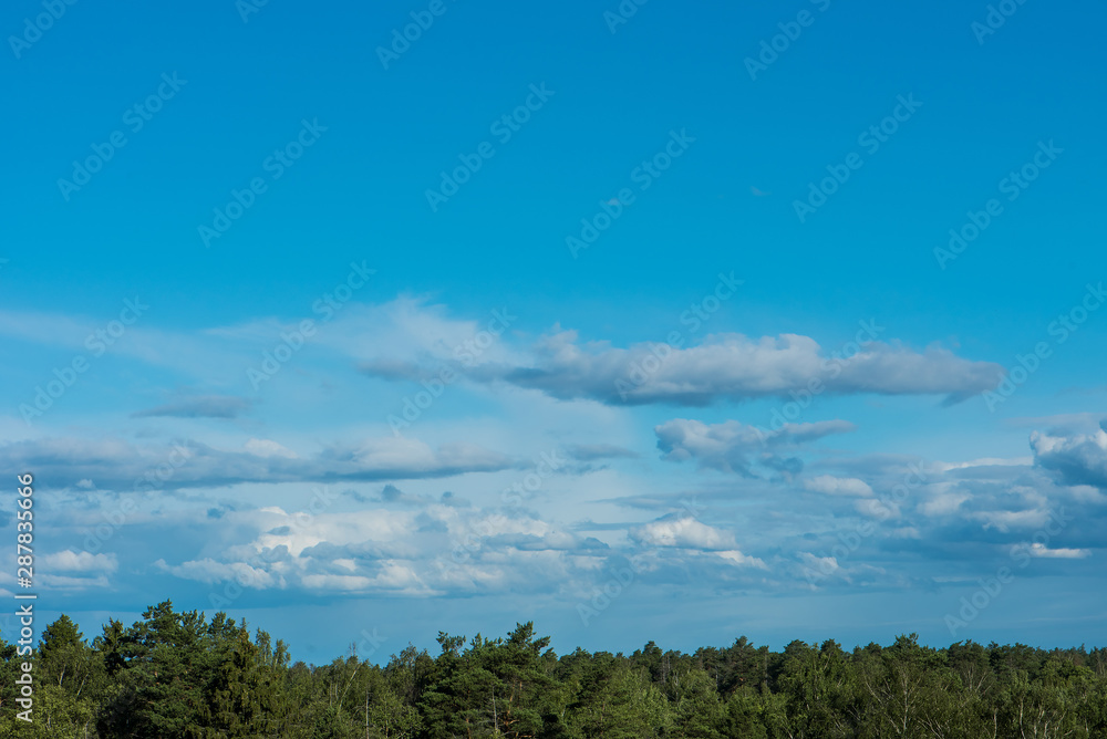 Beautiful Blue Sky with white Clouds and summer forest. A Nature backgrounds.
