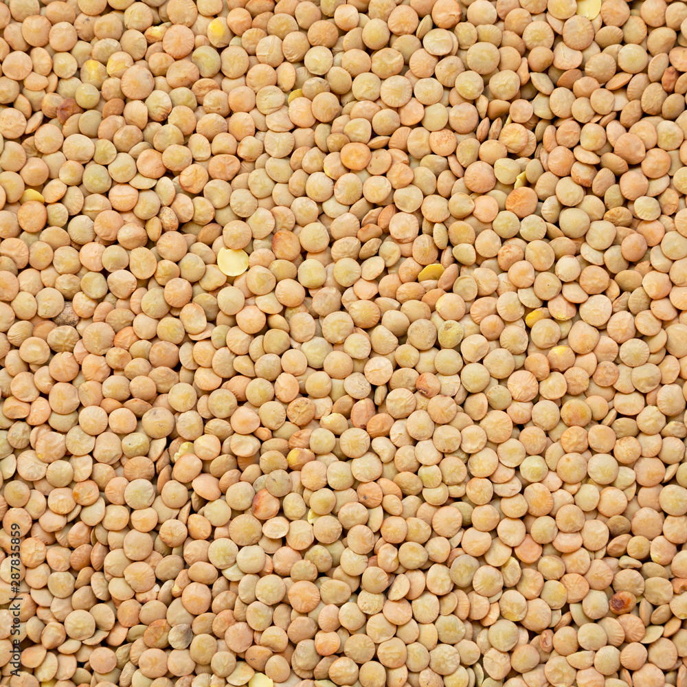 Organic green lentils texture, top view. Close-up. Organic green lentils texture, top view. Close-up.