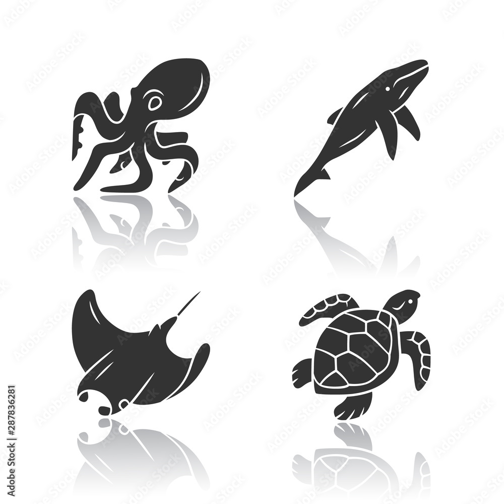 Fototapeta premium Underwater world drop shadow black glyph icons set. Swimming octopus, squid, turtle, whale. Ocean animals, undersea wildlife. Marine fauna. Aquatic creatures. Isolated vector illustrations