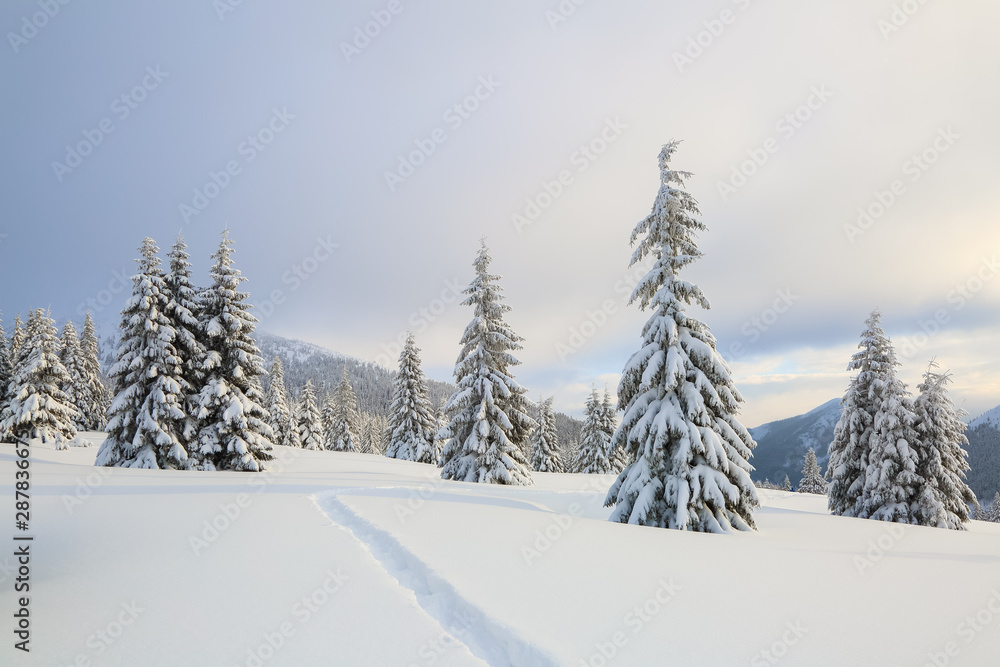 Winter landscape with fair trees, mountains and the lawn covered by snow with the foot path.