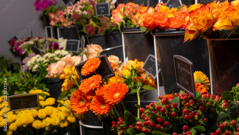 Schnittblumen im Blumenladen zum Binden von Sträußen, bunte Blumenauswahl, Floristik, Blumen binden, Strauße binden, Rosen in allen Varianten